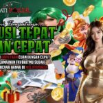 MelatiPoker Poker Online Terbaik Dengan Layanan Profesional